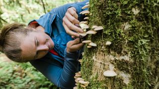 woman foraging mushrooms