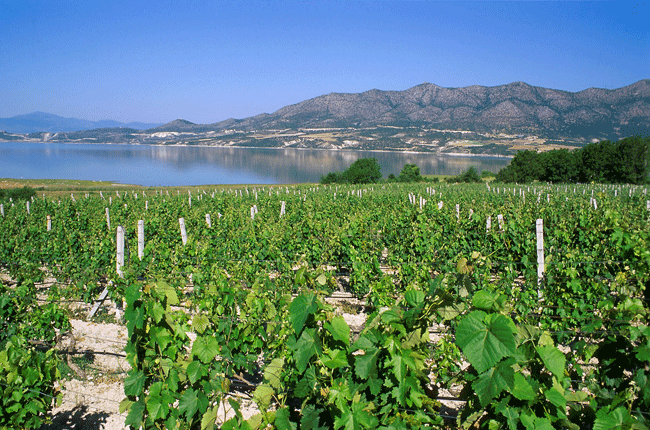 Ktima Voyatatzi, Velvento