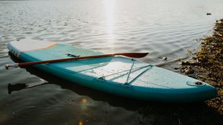 Paddleboard sitting on shore