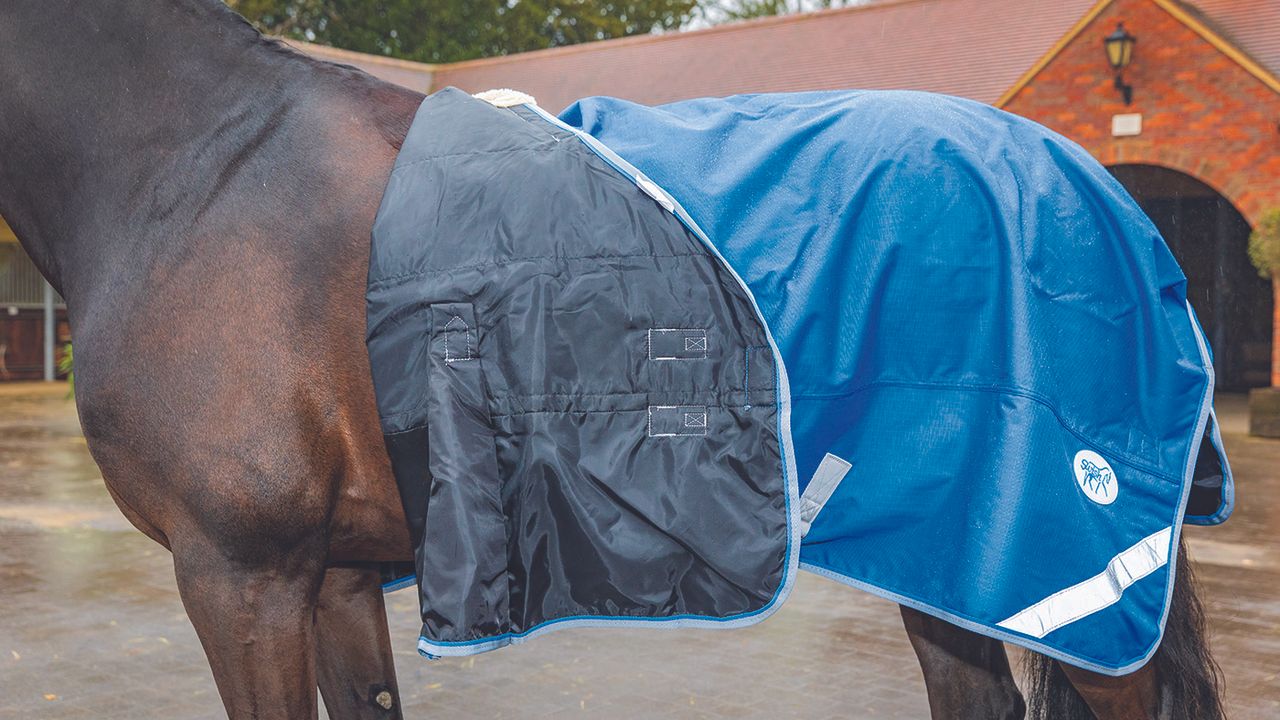 Swish Equestrian lightweight turnout review