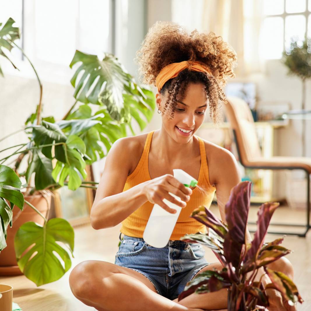 A woman sprays a houseplant with a spray bottle