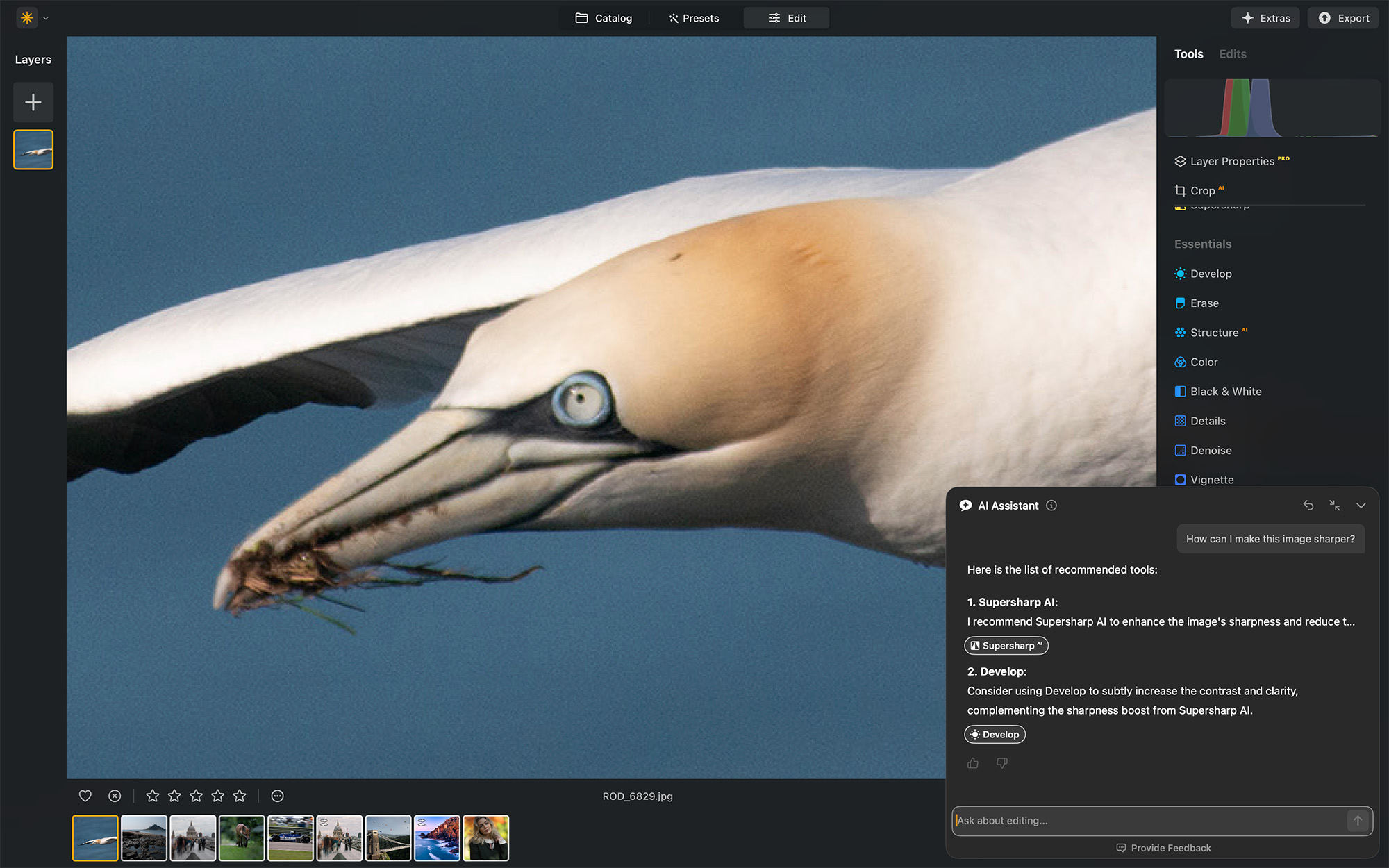 Screenshot from Luminar Neo showing AI Assistant 