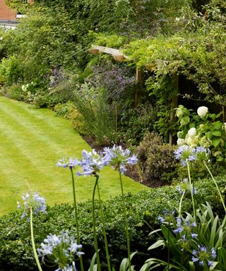 lawn with stripes and flower beds