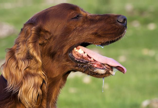 Why Doesn't Saliva Quench Your Thirst? | Live Science