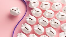 A lone piggy bank sits to the left of a purple ribbon, while several piggy banks sit to the right.