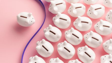 A lone piggy bank sits to the left of a purple ribbon, while several piggy banks sit to the right.