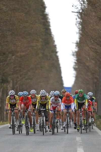 The peloton in action during stage 3 at Tour of Taihu Lake