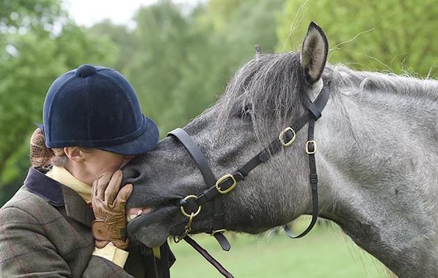 Emily Flynn riding LEYHILLS GILLIE GLAS at the Royal Windsor Horse Show in the private grounds of Windsor Castle in Windsor in Berkshire in the UK between 10th-14th May 2017