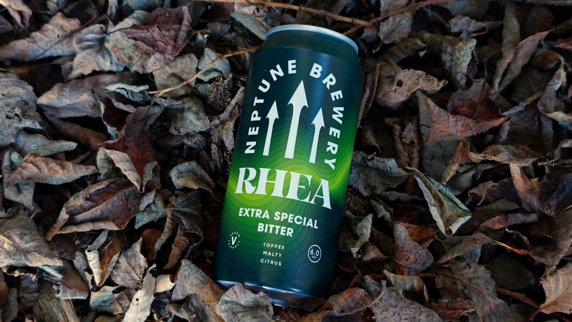 Autumnal beers