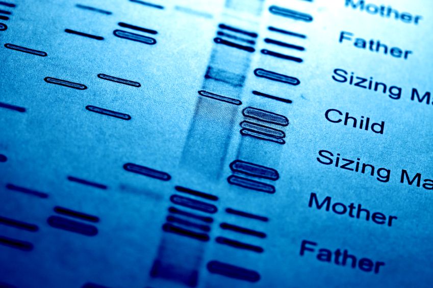 DNA information.