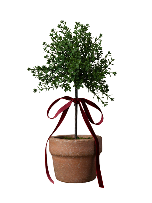 Myrtle Topiary With Red Bow