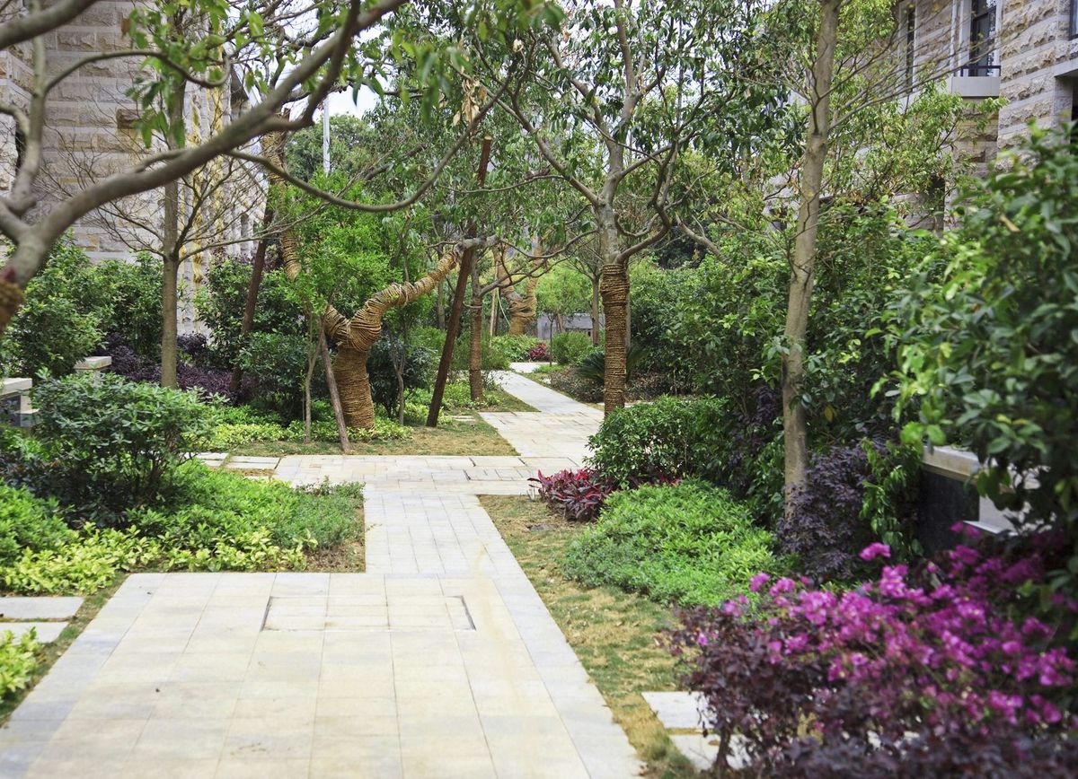 How Far From Sidewalk To Plant A Tree Guide To Planting Trees Near