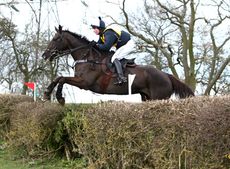 denman11.jpg