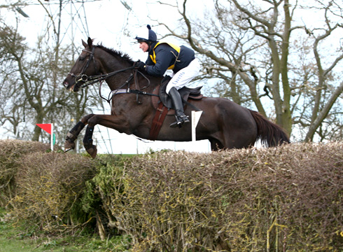 denman11.jpg