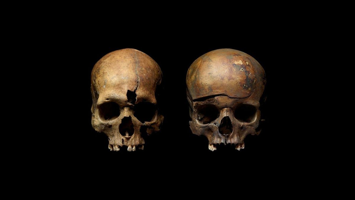 Skulls from a mass grave in Yaroslavl, Russia, show traces of violence.