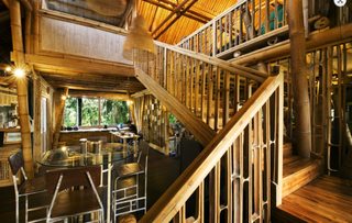 Staircase in large bamboo building, with lushy greenery glimpsed outside through the window