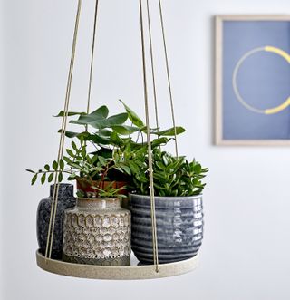 hanging ceramic tray with assorted pots and plants