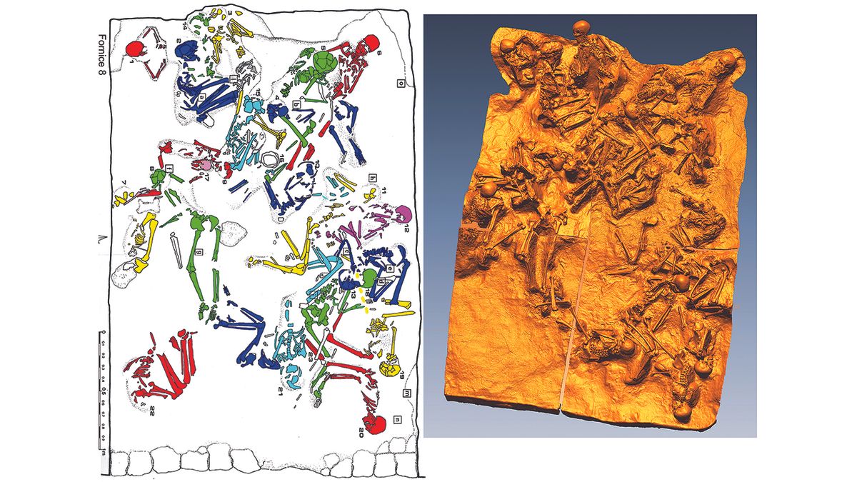 Excavation plan and 3D high-resolution laser scan record of the excavation in fornice 8.