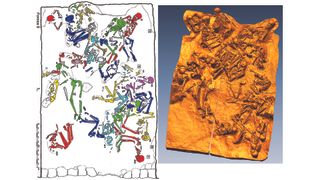 Excavation plan and 3D high-resolution laser scan record of the excavation in fornice 8.