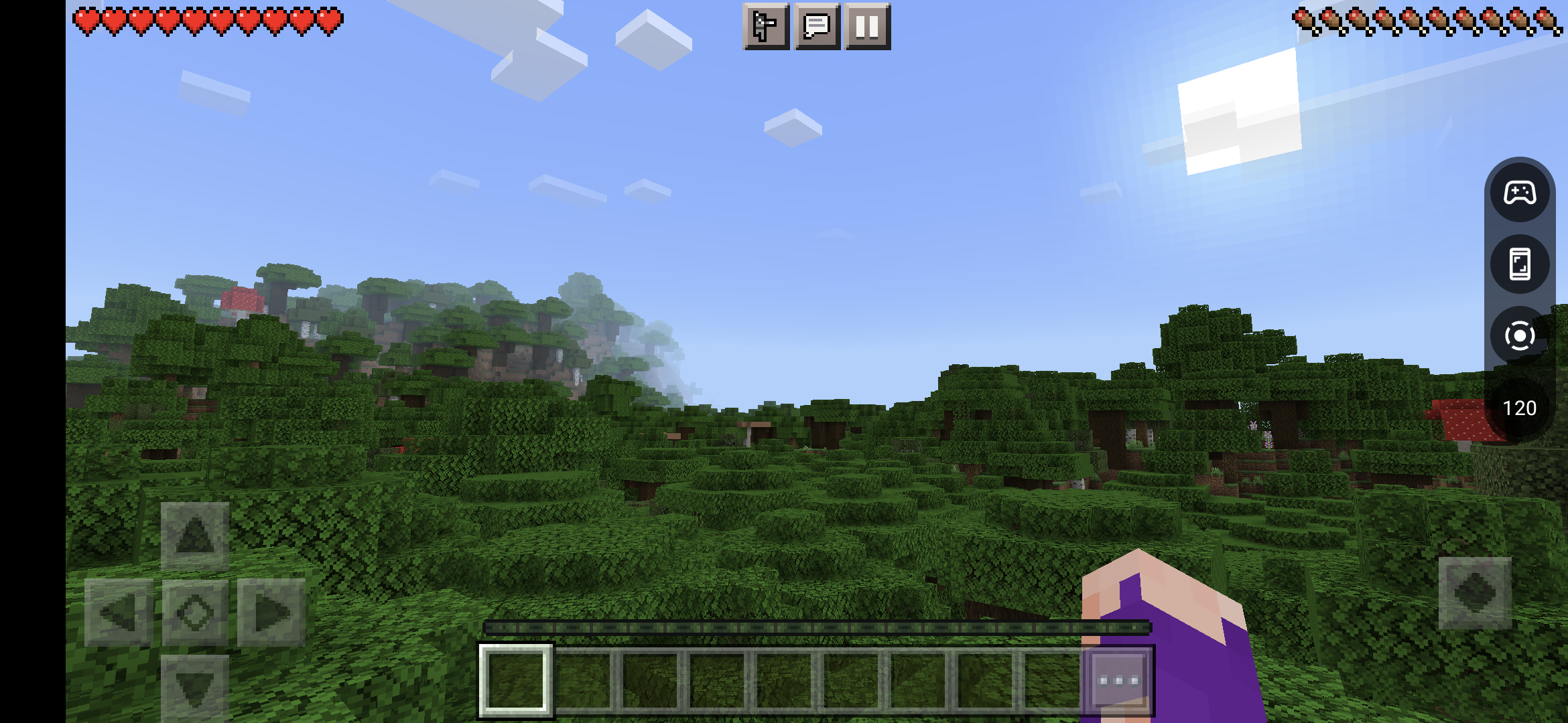 Captura de pantalla del menú móvil del tablero del juego en Minecraft para Android.