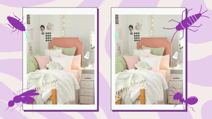 a cute dorm room on a pink/purple wavy background with purple illustrated bugs