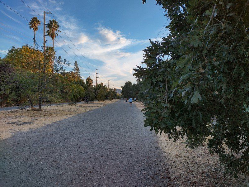 Nokia XR20 Camera Sample