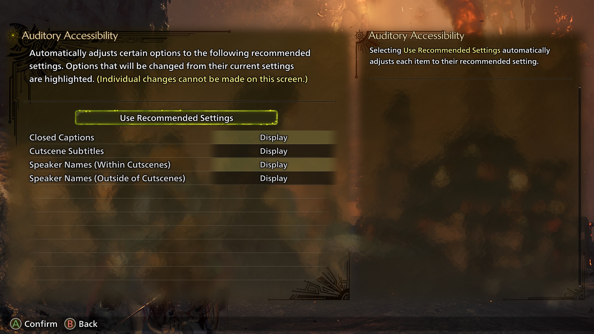 Monster Hunter Wilds accessibility options