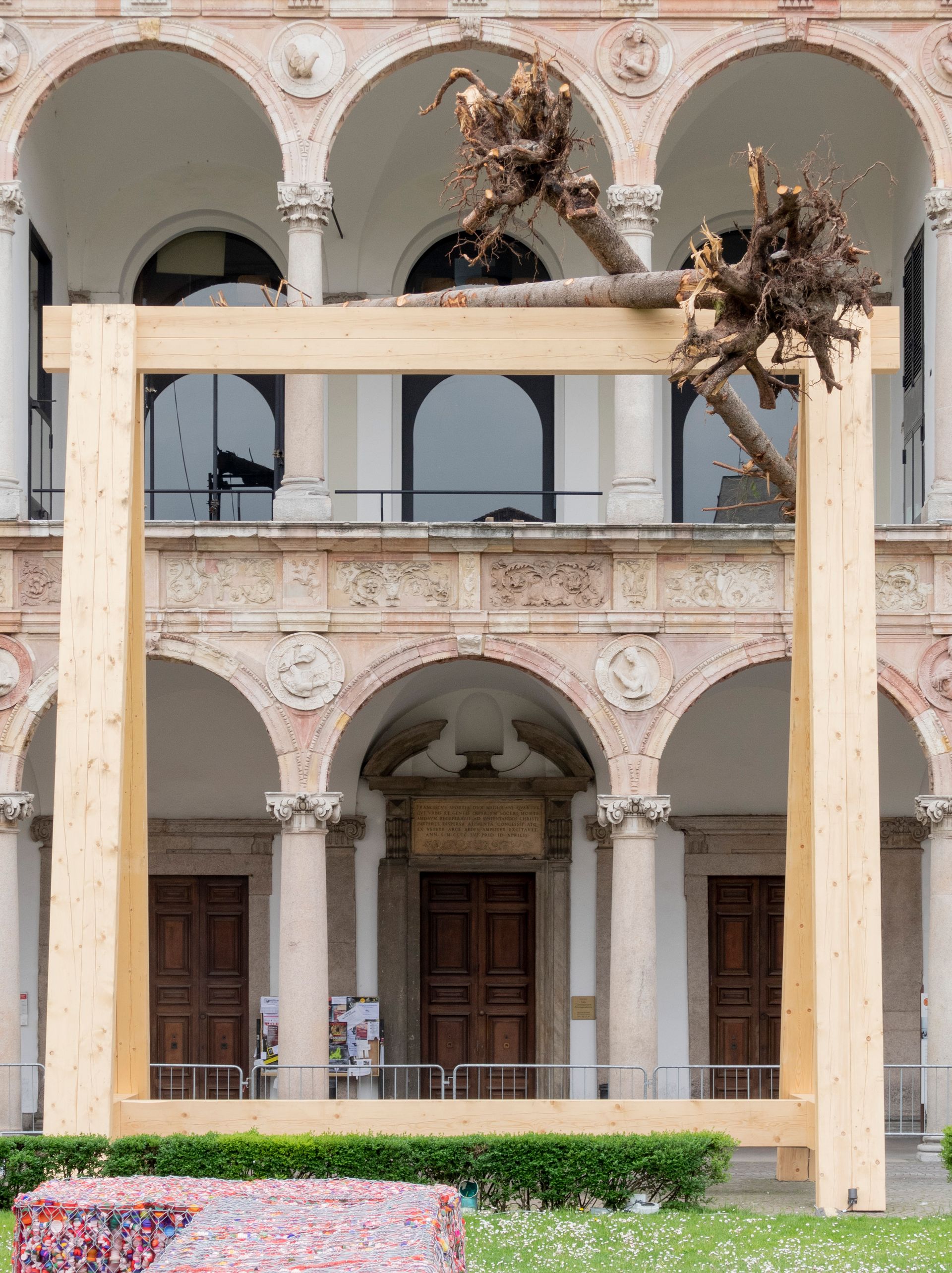 La Foresta dei Violini