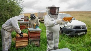 Jeremy Clarkson harvesting honey in Clarkson's Farm season 3