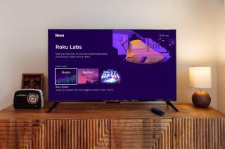Roku TV screen showing the "Roku Labs" destination