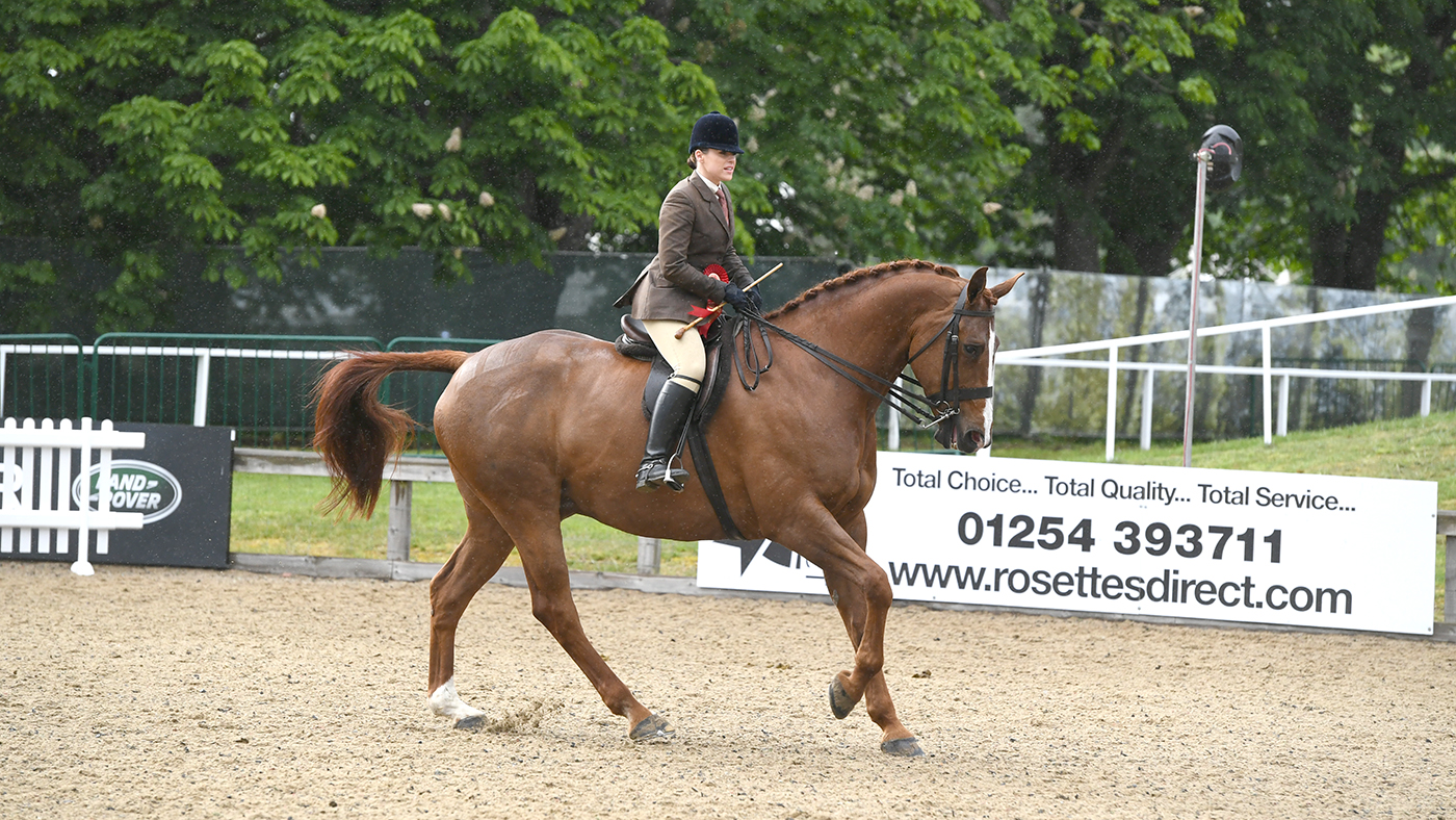 RWHS 08 05 19