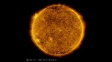 On the upper left side of this image from May 29, 2020, from NASA's Solar Dynamics Observatory &mdash; shown here in the 171-angstrom wavelength, which is typically colorized in gold &mdash; one can see a spot of light hovering above the left horizon. This light emanates from solar material tracing out magnetic field lines that are hovering over a set of sunspots about to rotate over the left limb of the sun.