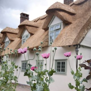 Exterior of house with white walls and flower