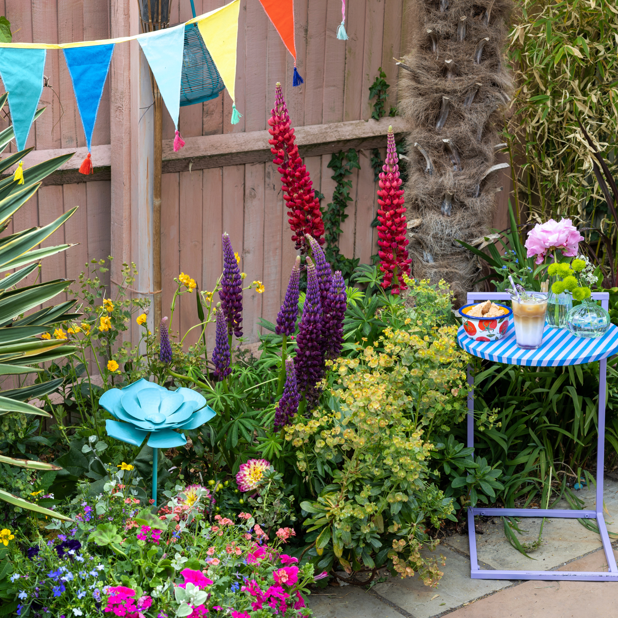 garden border with colourful flowers and plants and a side table with iced coffee