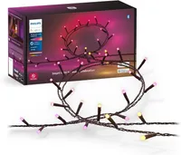 Philips Hue Festavia String Lights (20 metres)