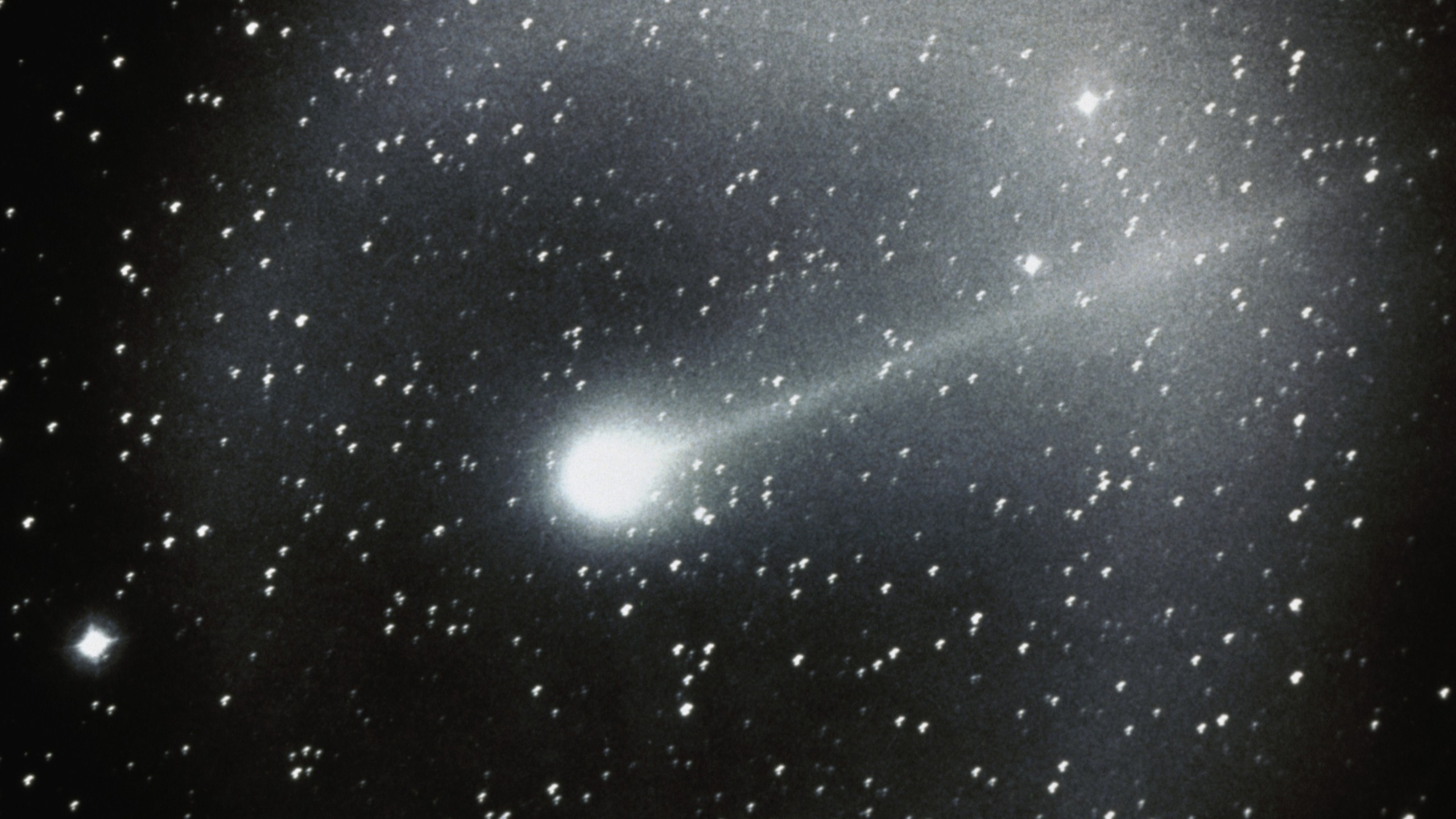 halleys comet shines bright against a background of stars.