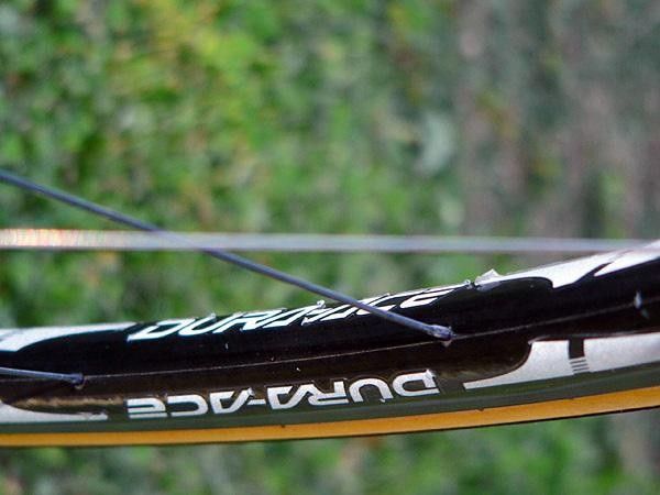 The rear rim includes an offset spoke bed.
