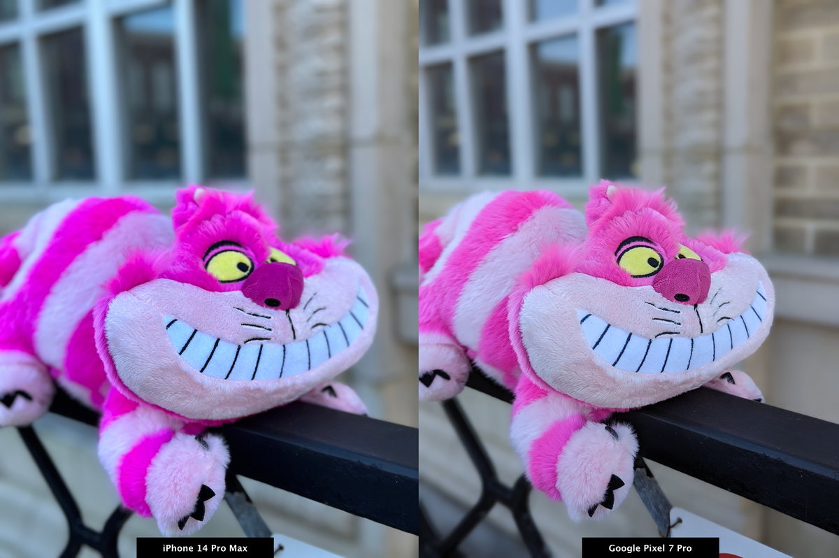 iPhone 14 Pro Max vs Pixel 7 Pro - portrait mode