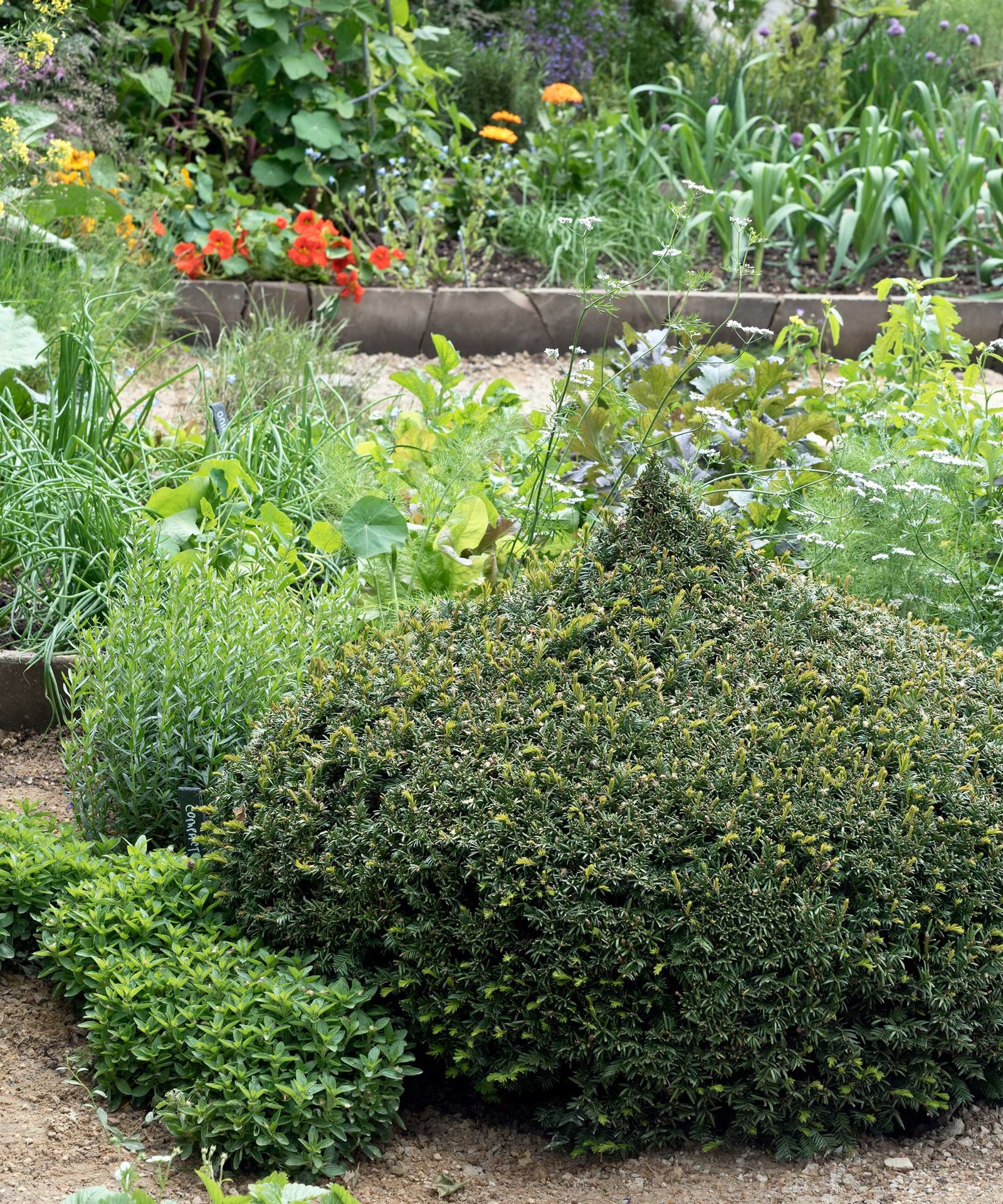 Front yard vegetable garden ideas: 10 stylish ways | Homes and Gardens