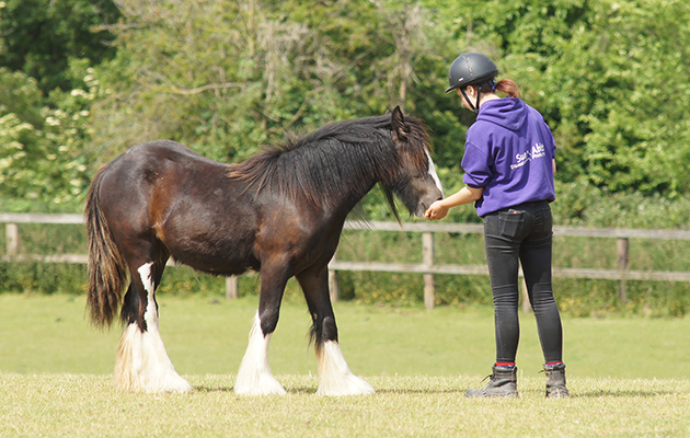 Arabella, pictured, following her recovery