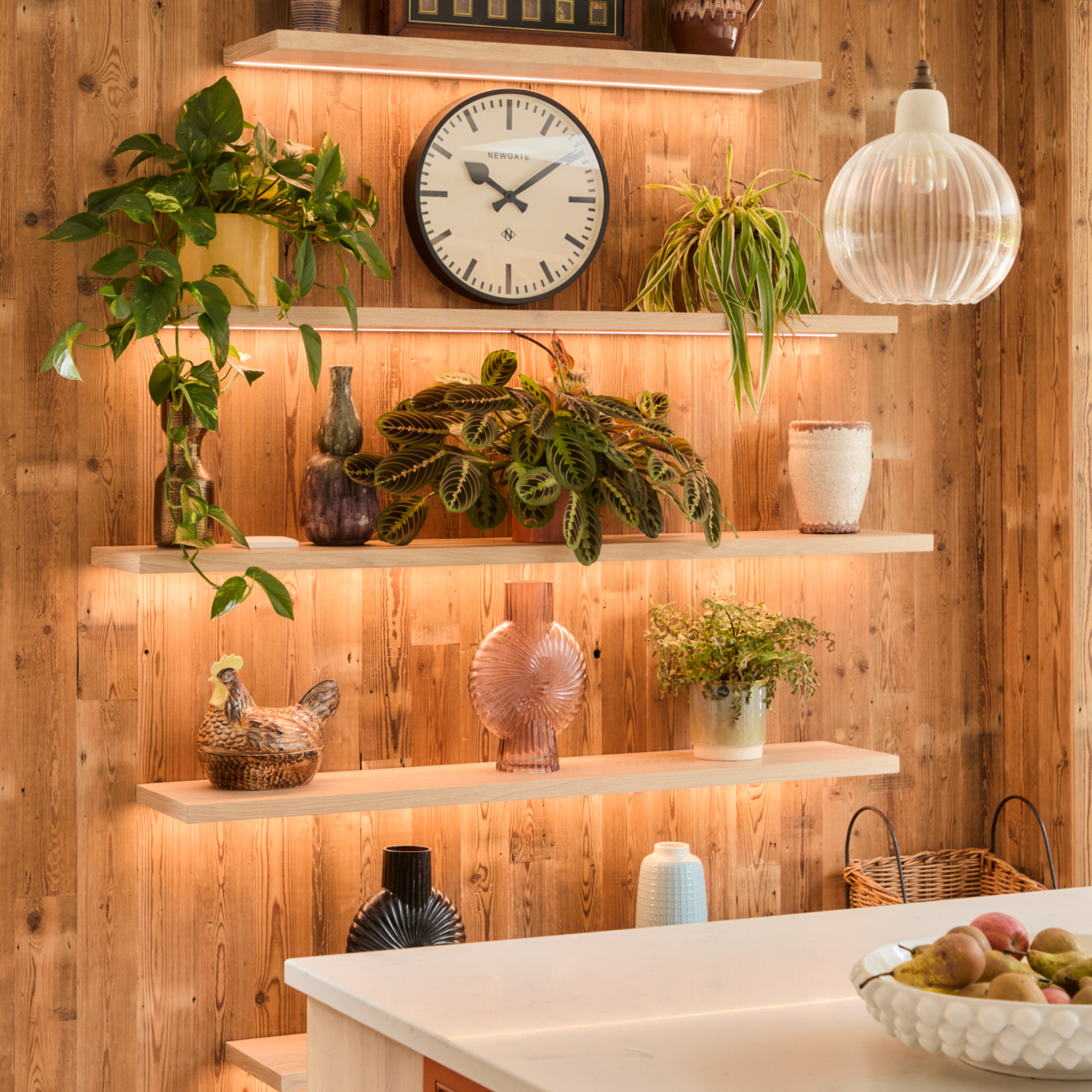 cladded wall with open shelving that's lit underneath