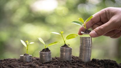 piles of coins increasing in height with small plants on top of them 