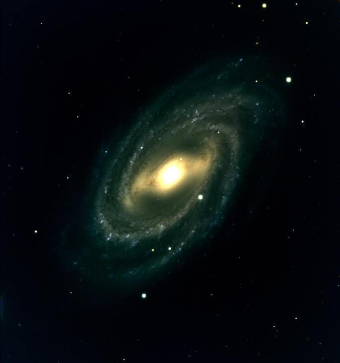 The barred spiral galaxy M109