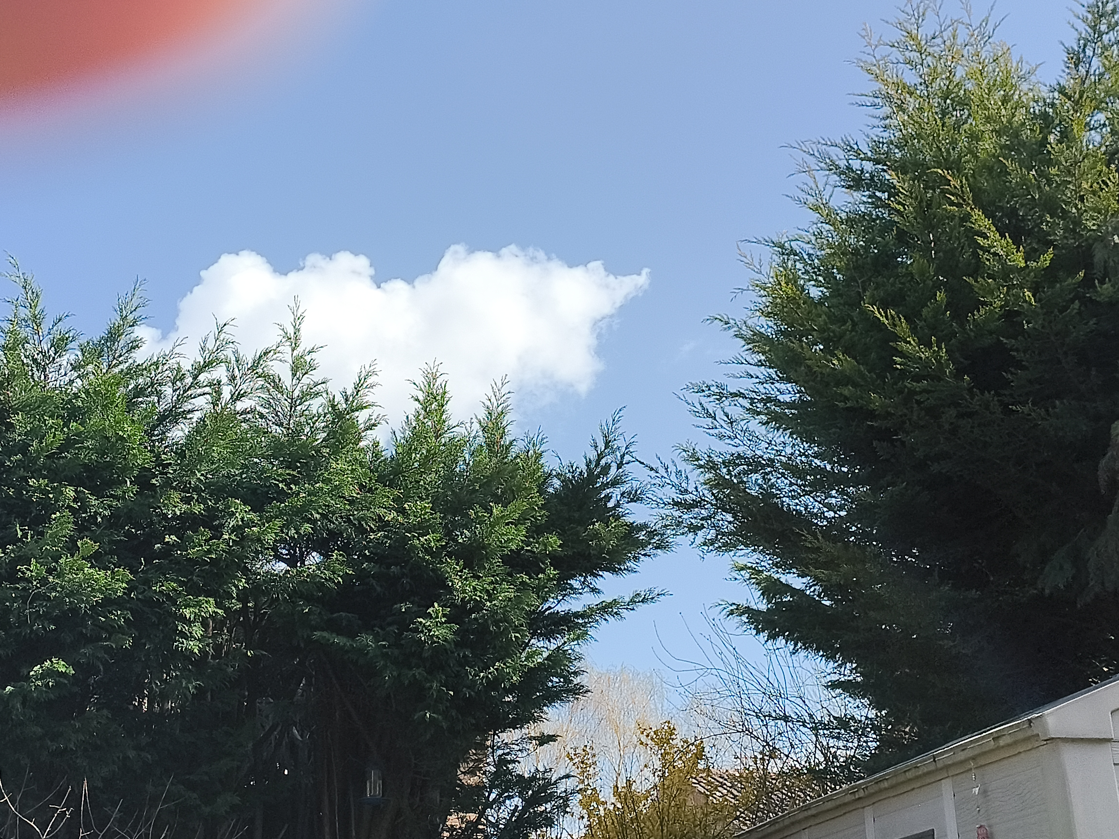 Punkt. MC03 Example Photos