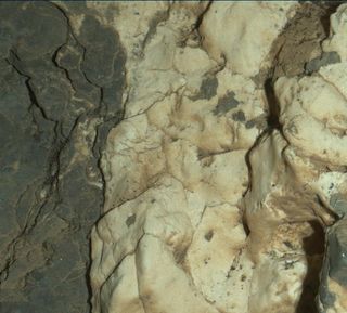 This image, taken by the Curiosity rover's Mars Hand Lens Imager on Mars 25, 2015, is a close-up of a two-tone mineral vein at the Garden City site in the lower reaches of Mount Sharp.