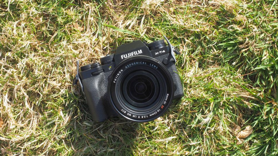 Best camera for macro photography in 2023 Digital Camera World