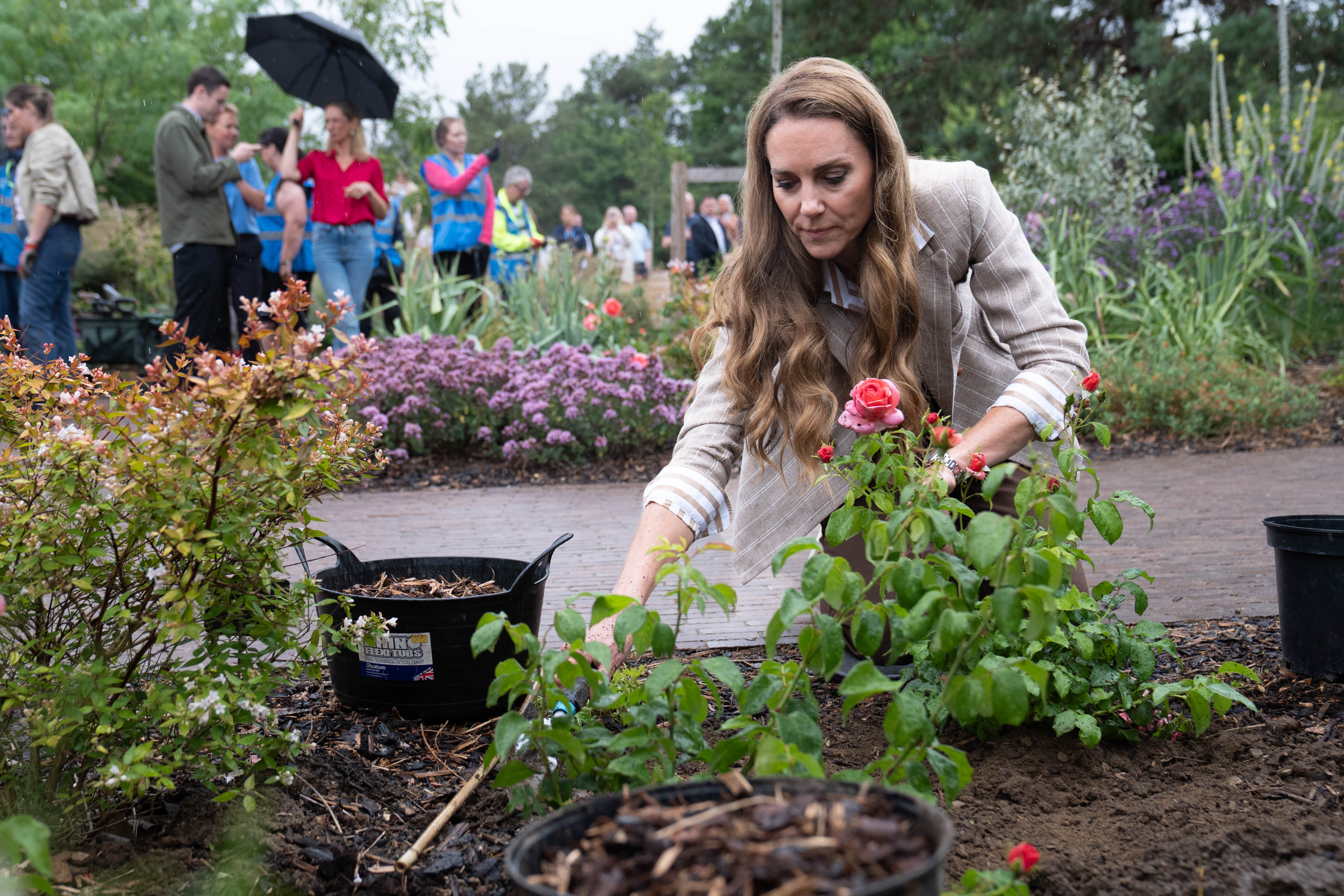 COLCHESTER, ENGLAND - JULY 2: Catherine, Princess of Wales, planting a rose during a visit to the RHS&amp;amp;apos;s Wellbeing Garden at Colchester Hospital on July 2, 2025 in Colchester, England. The visit coincides with the donation of 50 Catherine&amp;amp;apos;s Rose plants, named after the princess by the RHS with funds from sales going to the Royal Marsden Cancer Charity. (Photo by Stefan Rousseau - WPA Pool/Getty Images)