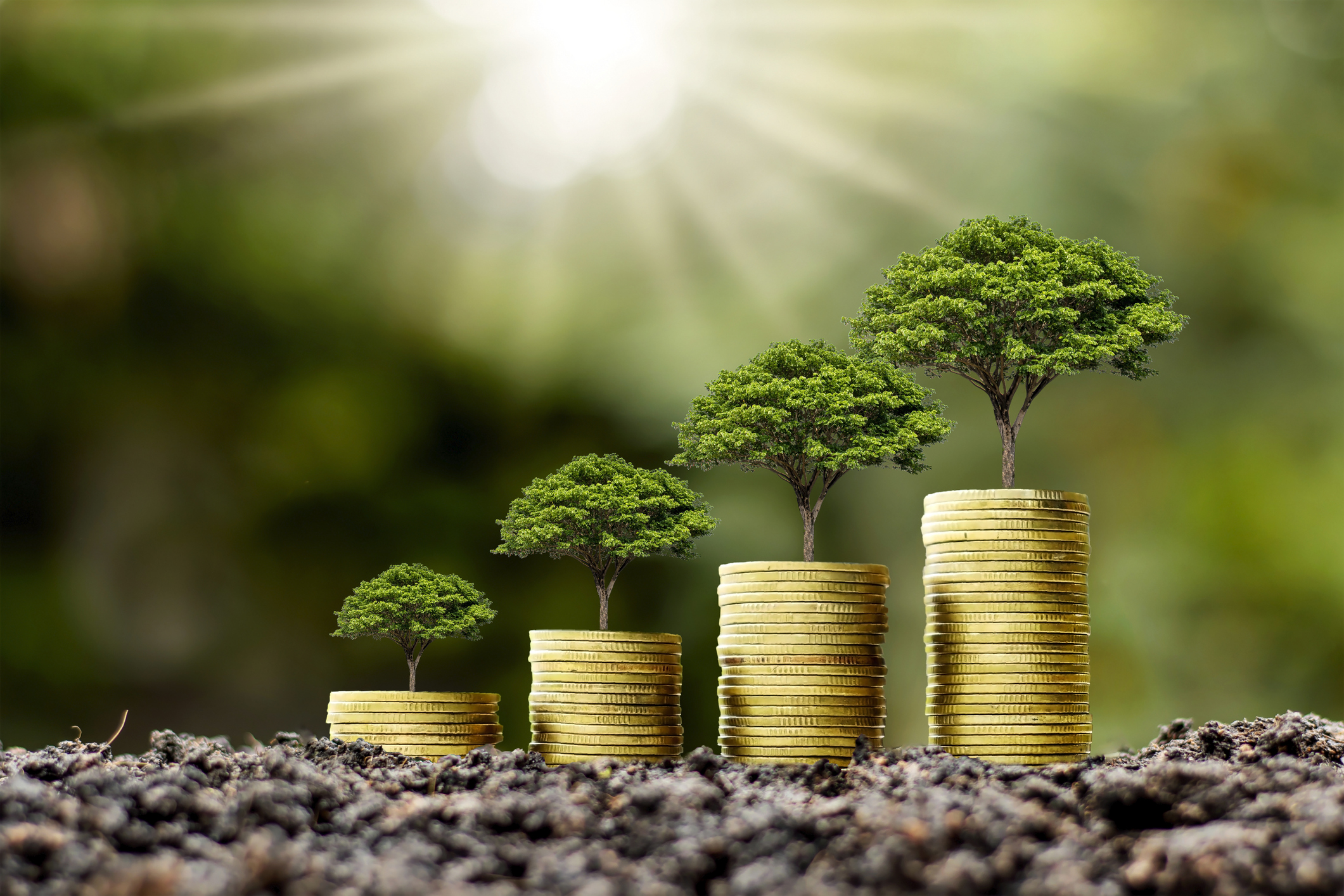 Coin pile with tree growing on top of coin, money growth idea and sustainable investment