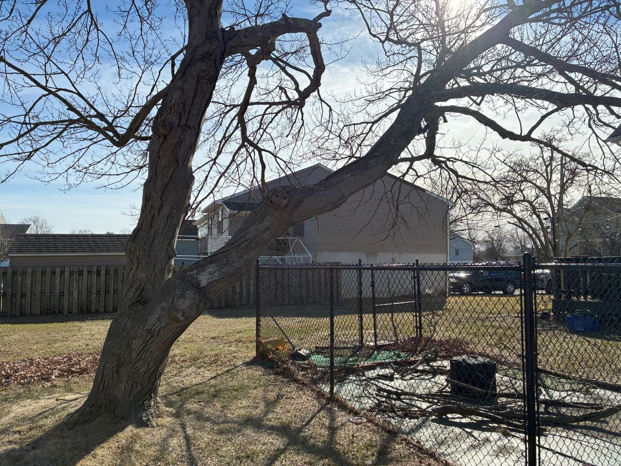 Apple iPhone 16e dynamic range sample.