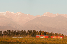 Finca Ferrer